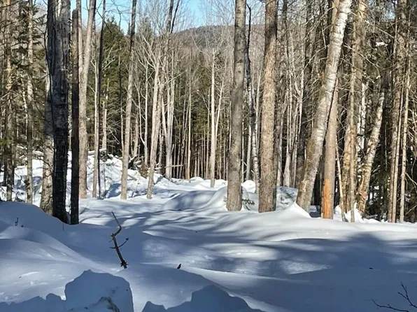 00 E. Bear Swamp Road, Middlesex, VT 05602