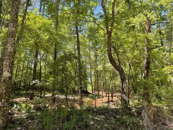 0 Bama Rock Garden Rd, Vance, AL 35490