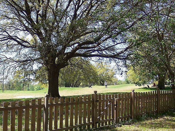 Back Yard (Golf Course)