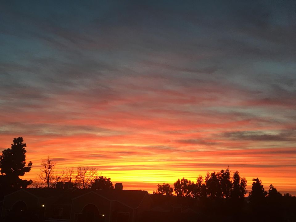 Views from the Patio (taken from the home on 2/24/2019)