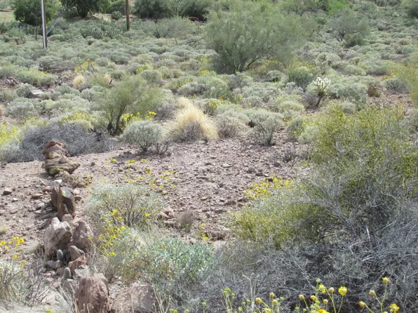 1151 N Queen Mary Way, Queen Valley, AZ 85118