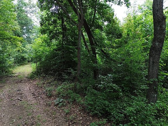 4th image of 204 Charlie Crosslin Rd