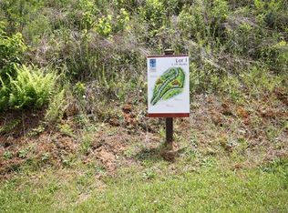 463 Patton Mountain Rd LOT 1, Asheville, NC 28804