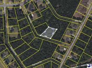 Robert Rd, Lake City, SC 29560