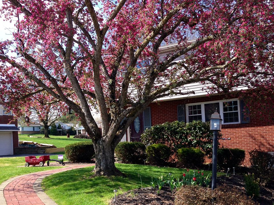 1st image of 508 Cochran Dr