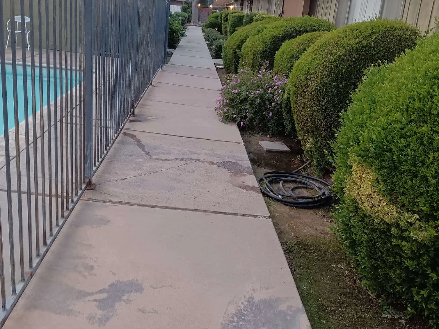 2 bed, 1000 sqft, $1,500 — Photo 2