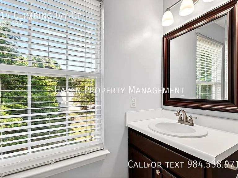 214 Climbing Ivy Ct — Photo 19