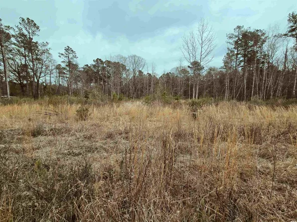 TBD 4 Highway 66, Loris, SC 29569