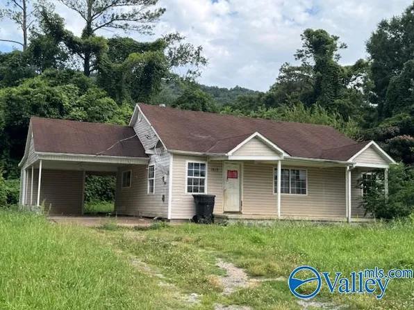 1615 Sanders Ave NE, Fort Payne, AL 35967