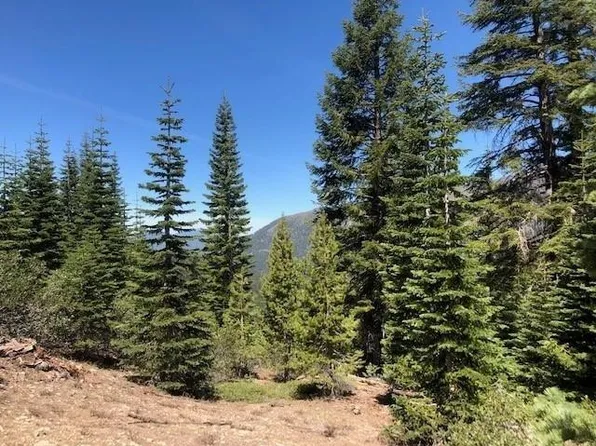 40 Acres Duck, Macdoel, CA 96058