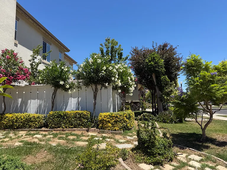 1682 Prima Dr — Photo 3