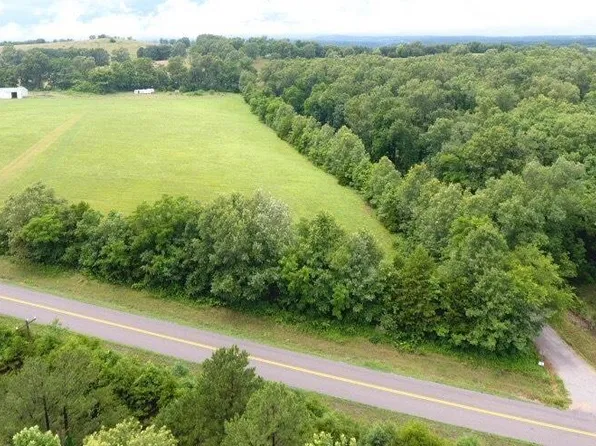 11-06-13-000-0 State Highway H, Dora, MO 65637