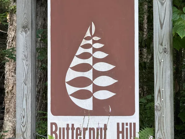 954 Butternut Hill Road #D-1, Waitsfield, VT 05673