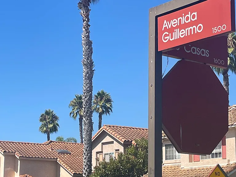 1586 Avenida Guillermo — Photo 30