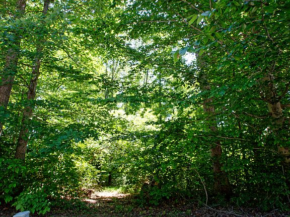 Mostly level, slopes to pond