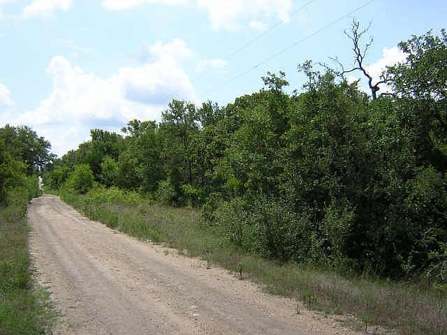 Mins from Austin with Huge Oaks 