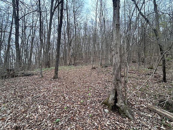 4th image of Possum Valley Rd