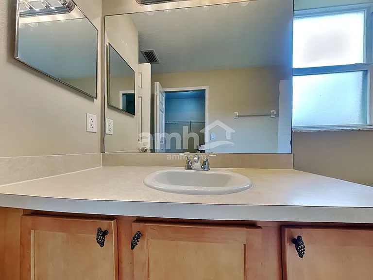 3510 Trapnell Grove Loop — Photo 11