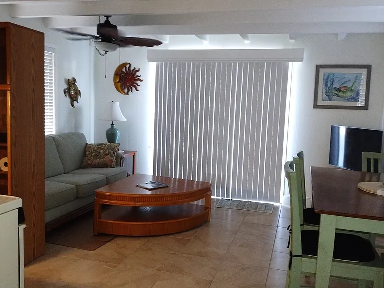 Palmetto Dr NE — Photo 22