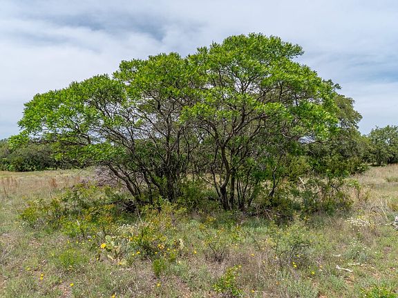 Owner Financed Land For Sale in Zephyr, Texas Near Brownwood