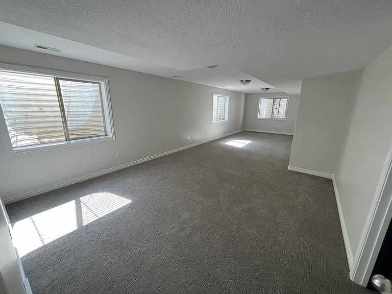 Huge Basement Family/Flex Space