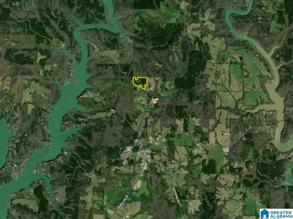 1 County Road 63 #1, Arley, AL 35541