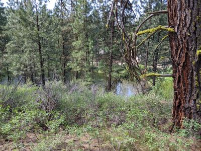 Fir Dr, Idaho City, ID, 83631