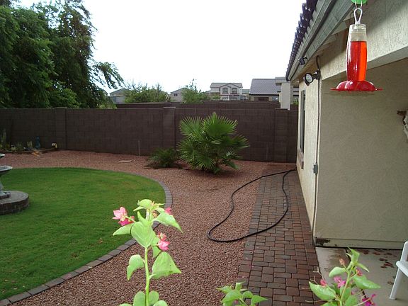 back yard looking north