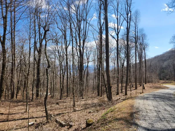 0 Zurich Rd #33, Spruce Pine, NC 28777