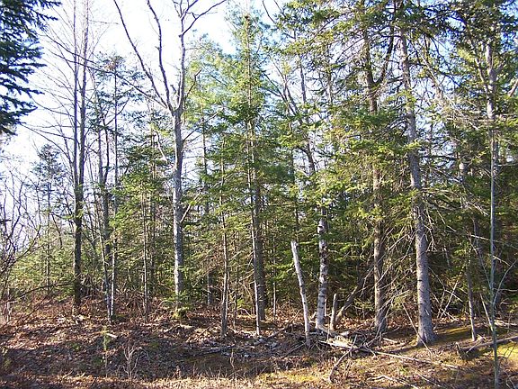 4th image of N U S 23 Hwy