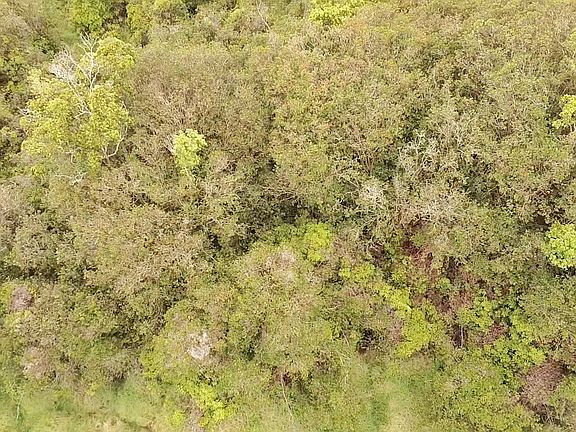 4th image of Huina Rd Lot 6