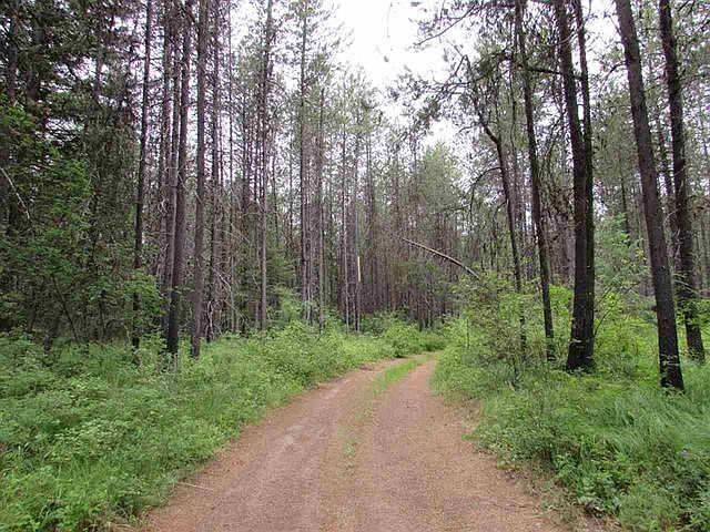 2nd image of 0 Springdale Hunters Rd