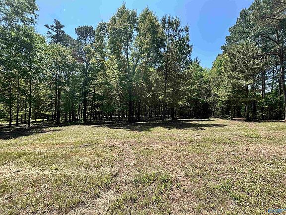 3rd image of LOT 1 County Road 1009