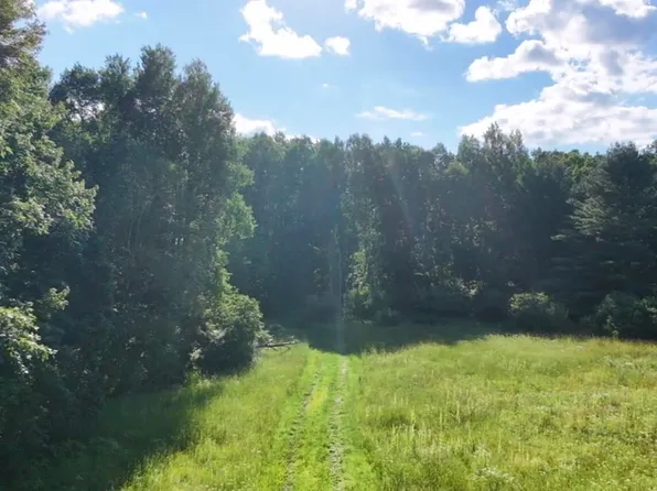 V/l Woods Rd, Sidney, MI 48885