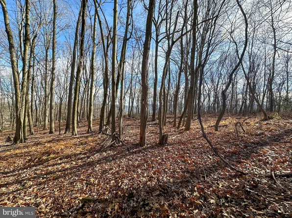 90 Core Rd, Romney, WV 26757