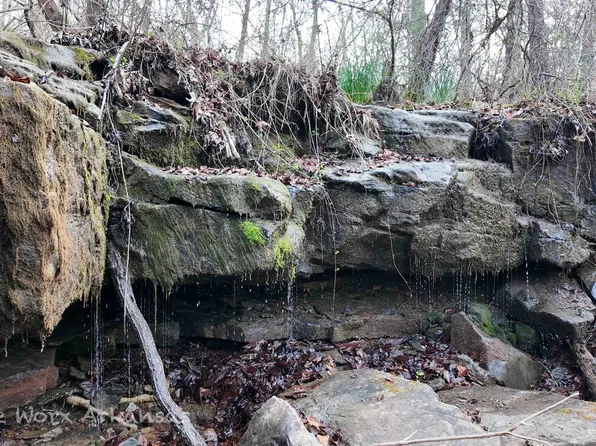 1872 Little Red River Rd, Marshall, AR 72650