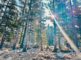 265 Brook Dr, Idaho Springs, CO 80452