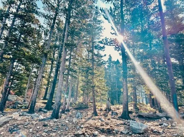 265 Brook Drive, Idaho Springs, CO 80452