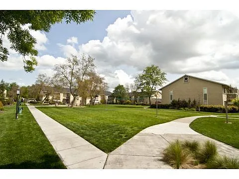 Live Oak Apartments Photo 1