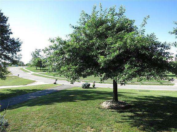View from Front Porch