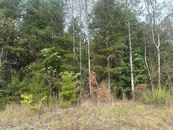5th image of 155 Mountain View Ln
