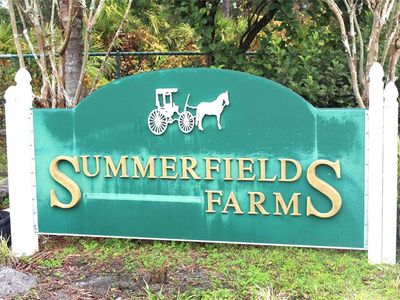 3431 Hickory Creek Rd #320, Deltona, FL, 32738