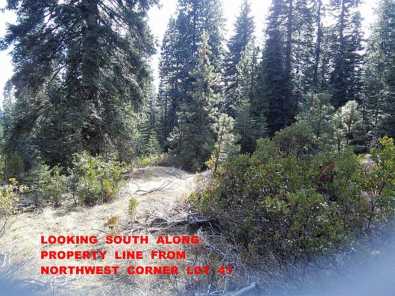 2nd image of Echo Ct Lot 41