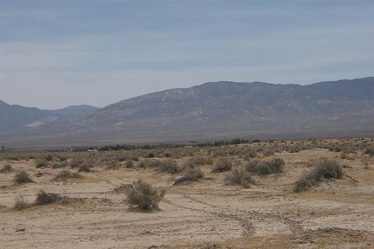 2nd image of Rodeo Rd