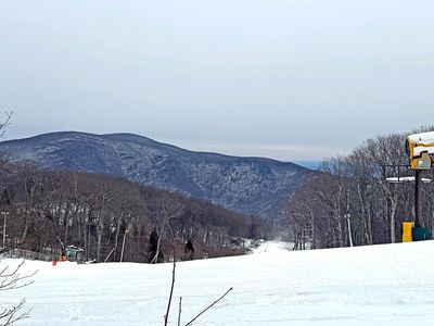 113 Eagles Ct, Wintergreen Resort, VA, 22967