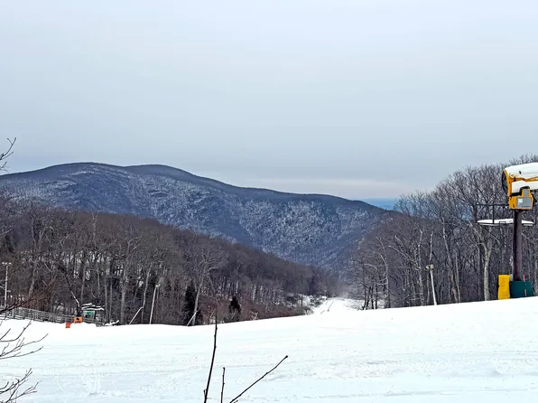 113 Eagles Ct, Wintergreen Resort, VA 22967