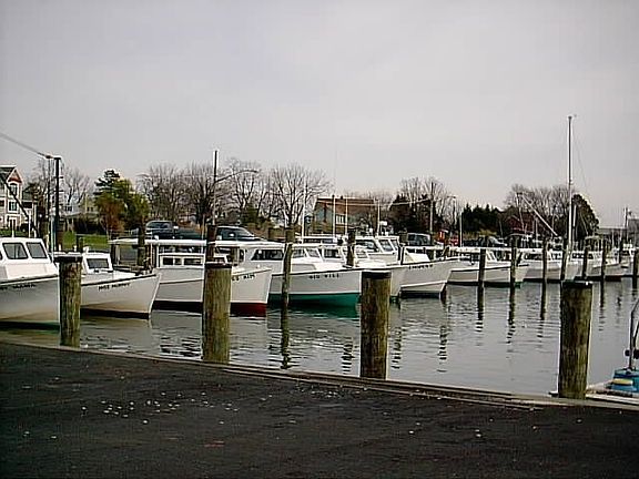 DOGWOOD HARBOR