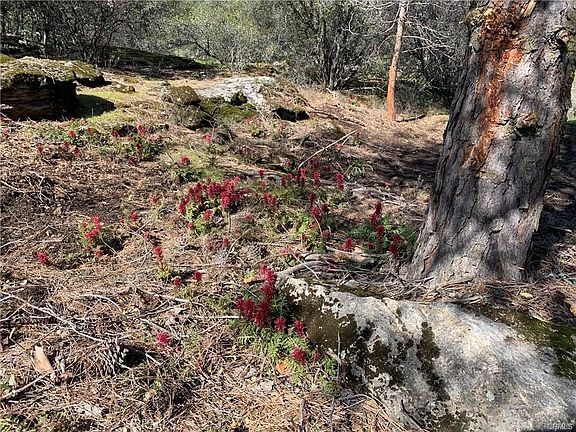 5th image of 1234 Quartz Mountain Rd