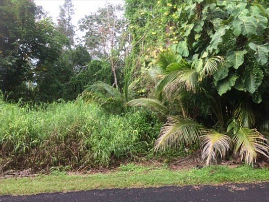 2nd image of 15-2711 Alamihi St Lot 10
