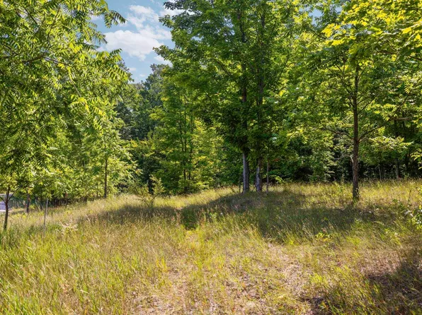 S Hill Rd, Cedar, MI 49621